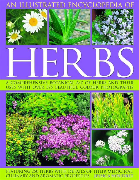 herbs an illustrated encyclopedia PDF