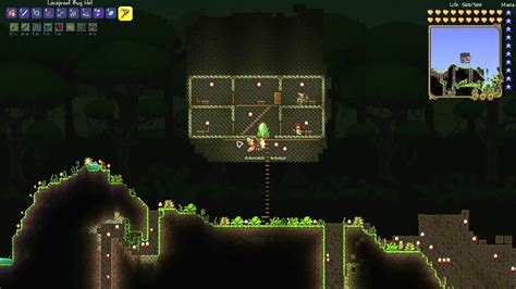 hercules beetle terraria