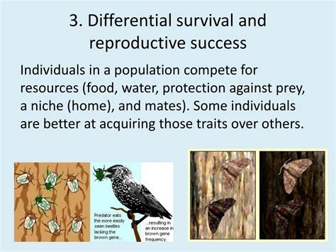 heredity and reproductive success quick check