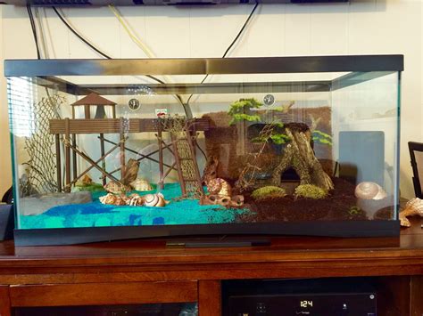 hermit crab tank