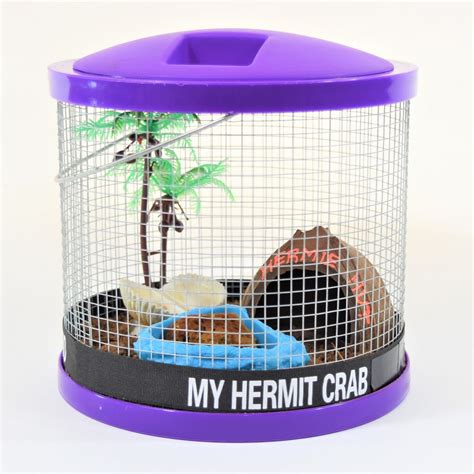 hermit crab terrarium