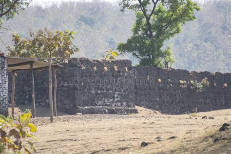 het fort en het woud Kindle Editon