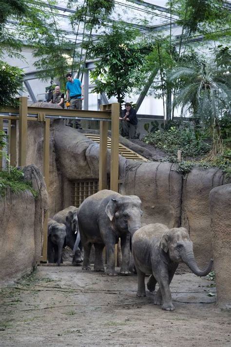 het gaat weer net zoo Kindle Editon