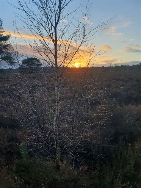 het licht keert weer Kindle Editon