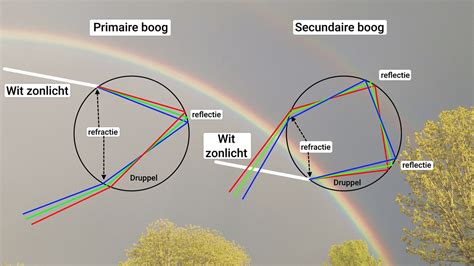 het musje dat de regenboog brengt over vluchtelingen en illegaliteit Doc