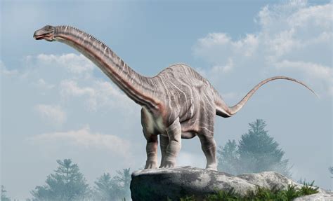 het vrwereldlyk monster of hoe pim den brontosaurus ving Kindle Editon