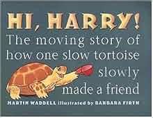 hi harry the moving story of how one slow tortoise slowly made a friend Doc