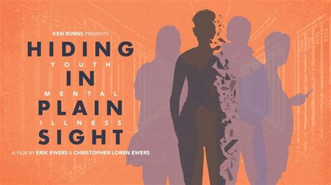 hiding in plain sight Reader