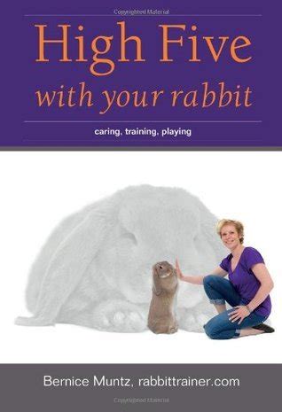 high five with your rabbit caring training playing Epub