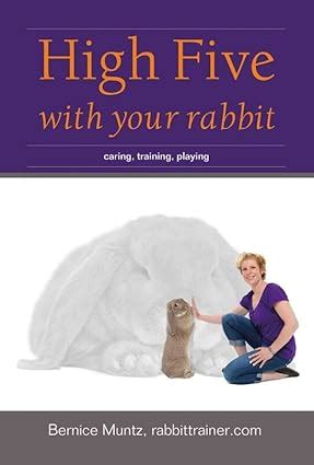 high five with your rabbit caring training playing Epub