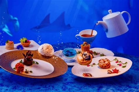 high tea in the deep sea