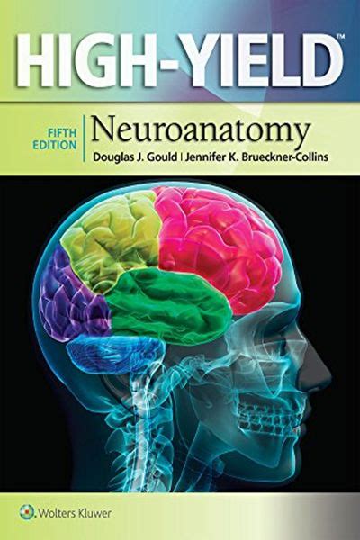 high yieldtm neuroanatomy high yield series Kindle Editon