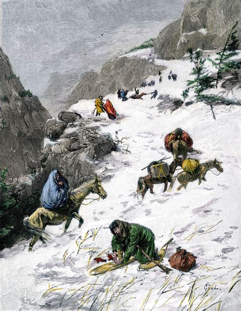 history of the donner party Reader