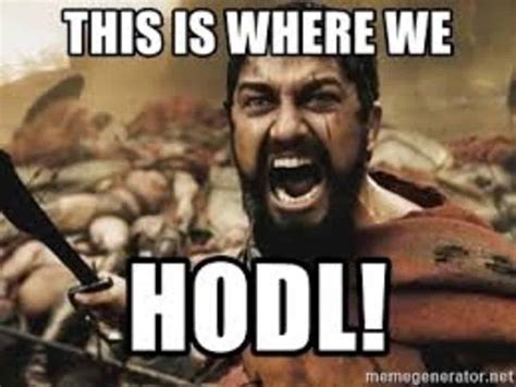 hodl meme