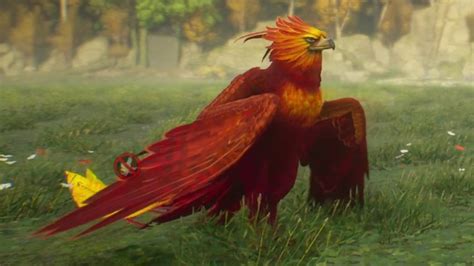 hogwarts legacy breed phoenix