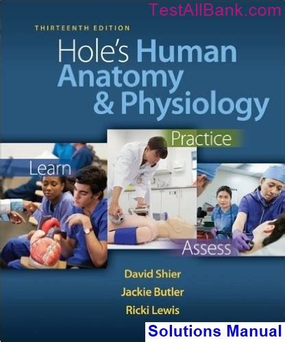 hole s human anatomy and physiology 13th edition answer key PDF