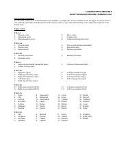 holes lab manual answer key cat Reader