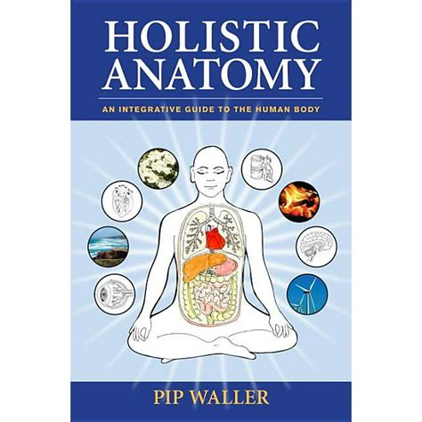 holistic anatomy an integrative guide to the human body Doc