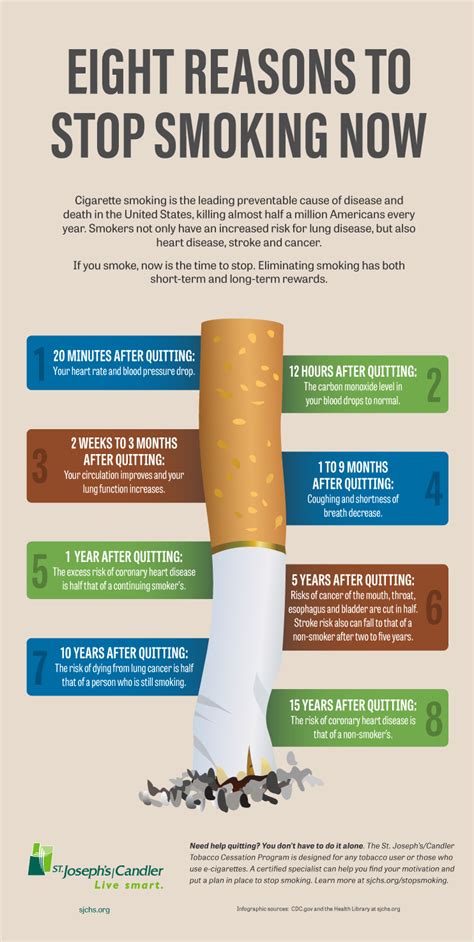 holistic stop smoking program addiction PDF
