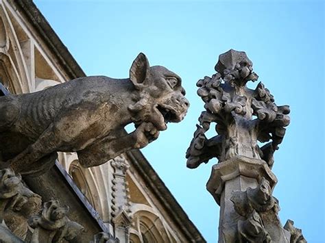 holy terrors gargoyles on medieval buildings Reader