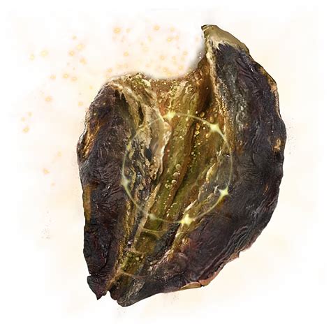 holyproof dried liver