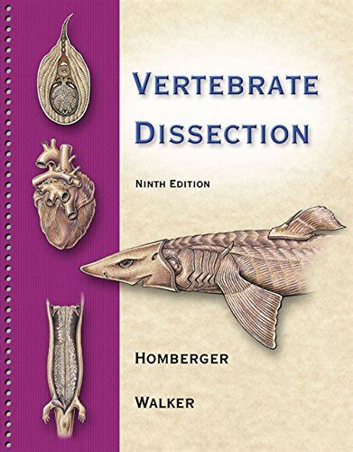 homberger vertebrate dissection Ebook Doc