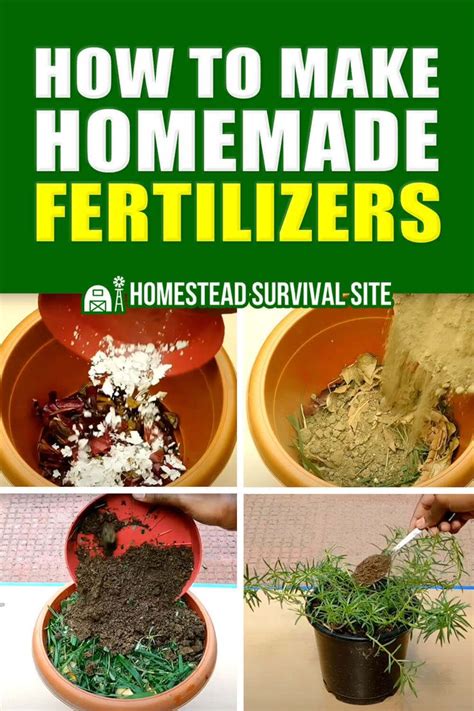 homemade yard fertilizer