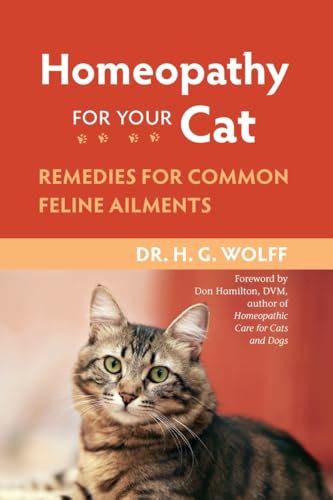 homeopathy for your cat remedies for common feline ailments Doc