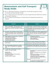homeostasis cell transport study guide pdf PDF