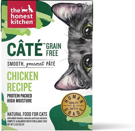 honest kitchen cat food