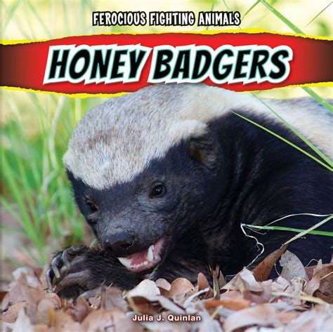 honey badgers ferocious fighting animals Kindle Editon