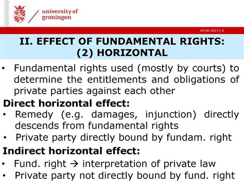 horizontal effect fundamental rights law Epub