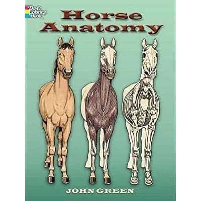 horse anatomy dover nature coloring book Doc