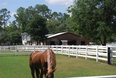 horse and kennel jacksonville fl