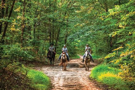 horseback riding nashville