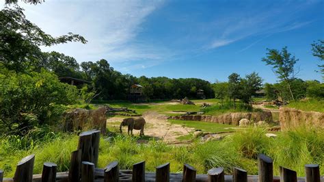 hotels close to dallas zoo