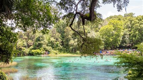 hotels near rainbow springs state park