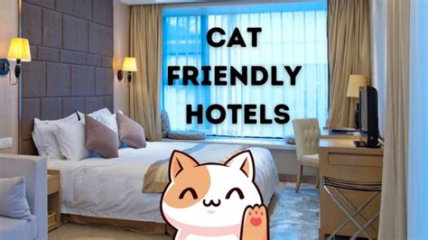 hotels that allow cats