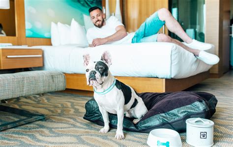 hotels that allow dogs in austin