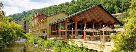 hotels that allow dogs in gatlinburg tn