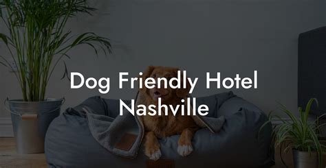 hotels that allow dogs in nashville