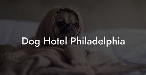 hotels that allow dogs in philadelphia