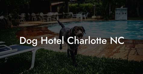 hotels that allow pets in charlotte nc