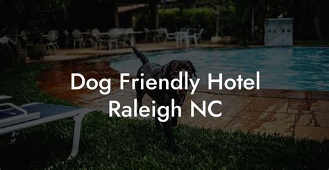 hotels that allow pets in raleigh nc