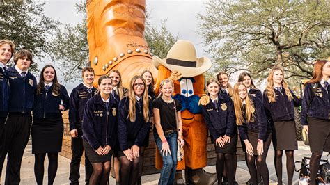 houston livestock show and rodeo scholarship