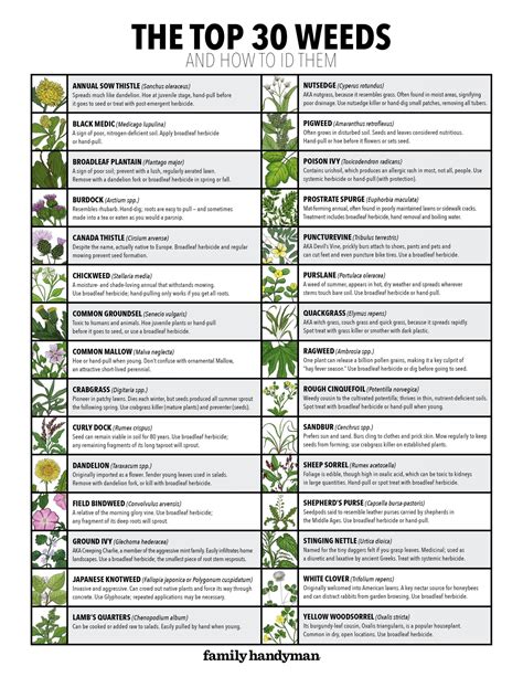 how 2 smokes weeds a scientific guide Epub