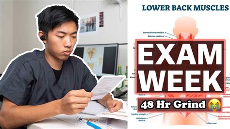 how busy is med school