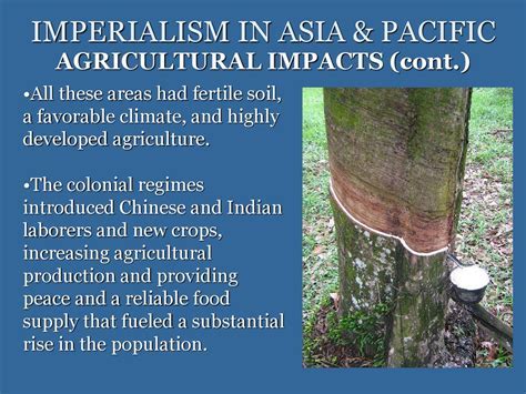 how did agriculture change during the new imperialism