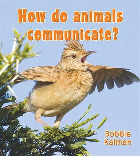 how do animals communicate? big science ideas PDF