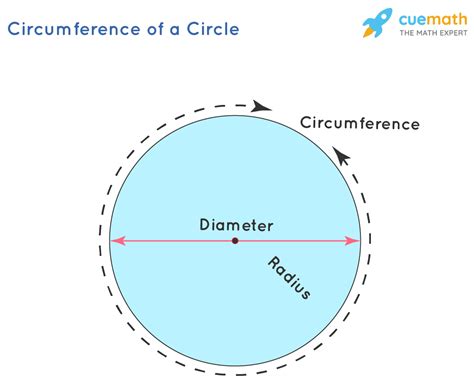 how do i measure circumference Epub